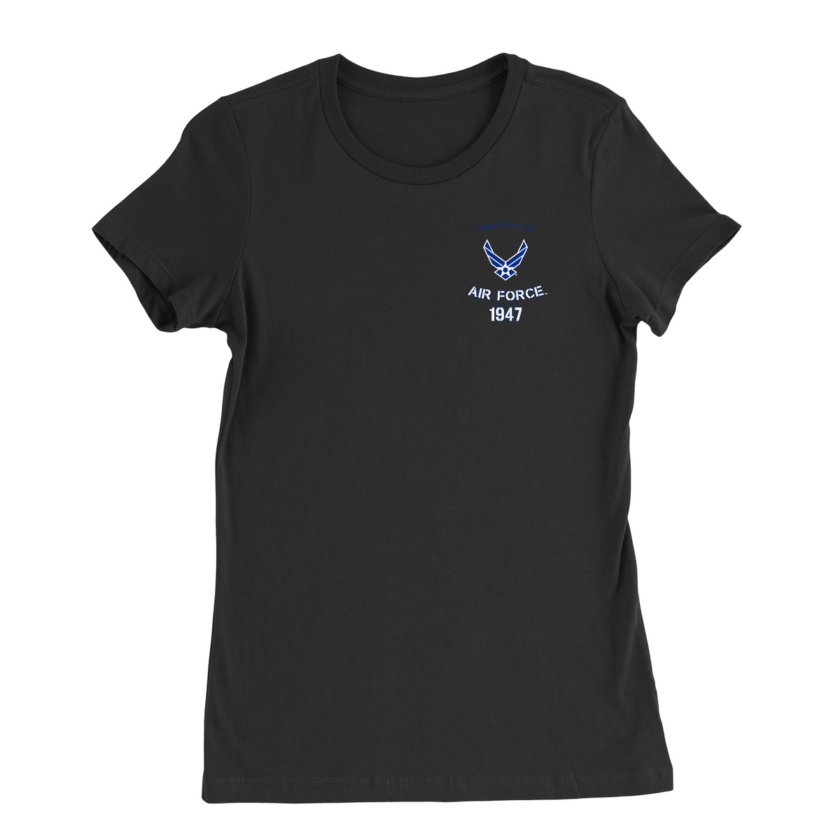 USAF Property of US Air Force product image 2