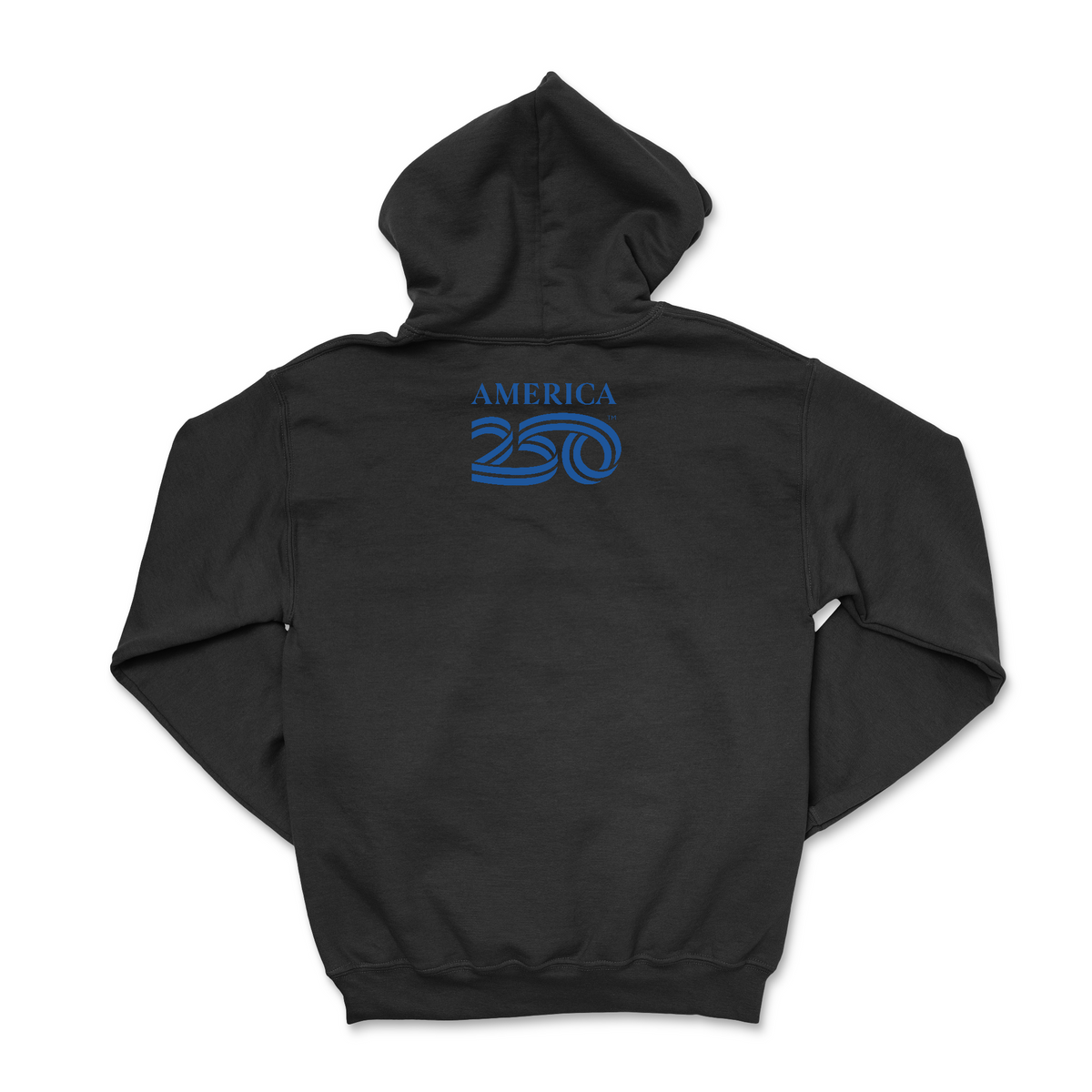 America250 Constitution Unisex Hoodie product image 2